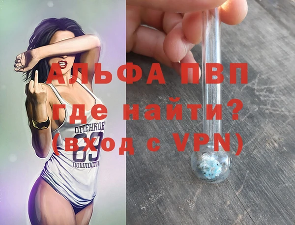 трава Аркадак