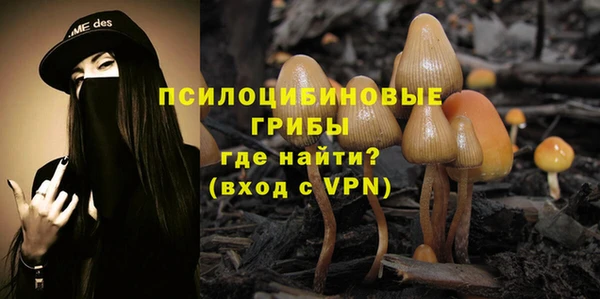 mdpv Арсеньев
