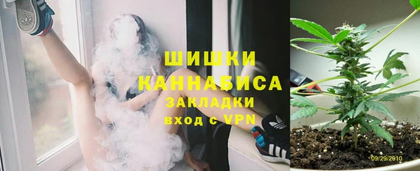 трава Аркадак