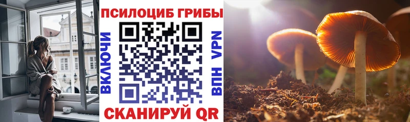 hydra зеркало  Порхов  Псилоцибиновые грибы прущие грибы 